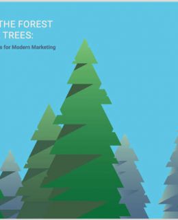 Seeing the Forest for the Trees: Unified Analytics for Modern Marketing