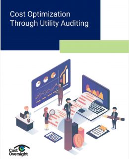 Increased Revenue Through Utility Auditing