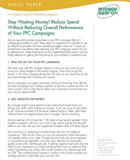 Stop Wasting Money! Reduce Spend without Reducing Overall Performance of Your PPC Campaigns