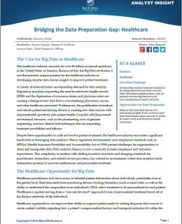Bridging the Data Preparation Gap: Healthcare