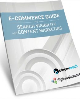 e-Commerce Guide to Search Visibility and Content Marketing