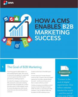 How a CMS Enables B2B Marketing Success