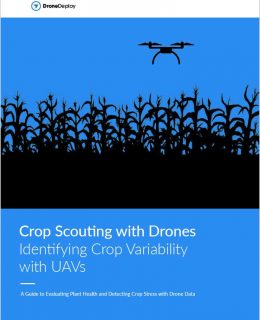 Crop Scouting with Drones: Identifying Crop Variability