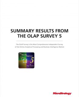 Comprehensive Business Intelligence Market Study - Summary Results from The OLAP Survey 5