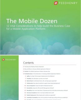 The Mobile Dozen eBook: 12 Vital Considerations for Building the Business Case for a Mobile Platform