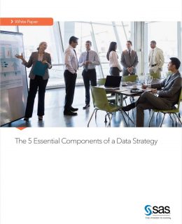 5 Essential Components of a Data Strategy