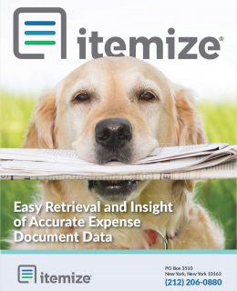 Easy Retrieval and Insights from Expense Documents