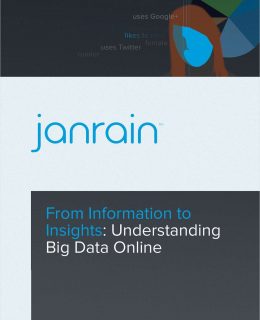 From Information to Insights -- Understanding Big Data Online