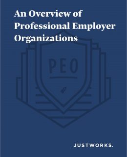 An Overview of Professional Employer Organizations