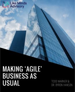 Making 'Agile' Business as Usual