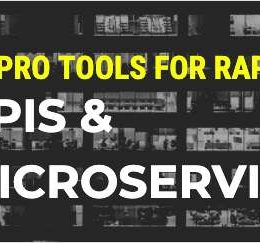 Tools for Rapid API Development & Testing