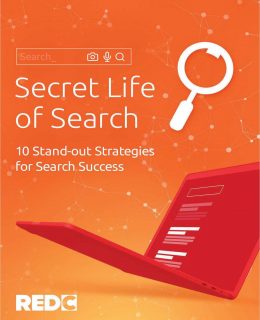 Secret Life of Search