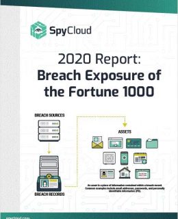 Fortune 1000 Breach Exposure Report