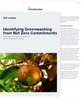 Identifying Greenwashing from Net Zero Commitments
