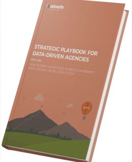 eGuide Strategic Playbook for Data-Driven Agencies