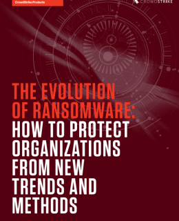 Screenshot 1 18 260x320 - The Evolution of Ransomware: How to Protect Organizations from New Trends and Methods