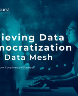Screenshot 4 260x320 - Achieving Data Democratization with Data Mesh