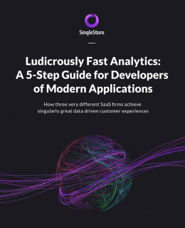 ludicrously fast screenshot 260x320 - Ludicrously Fast Analytics: A 5 Step Guide for Developers of Modern Applications