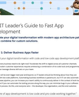 IT Leaders Guide 260x320 - The IT Leader’s Guide to Fast App Development