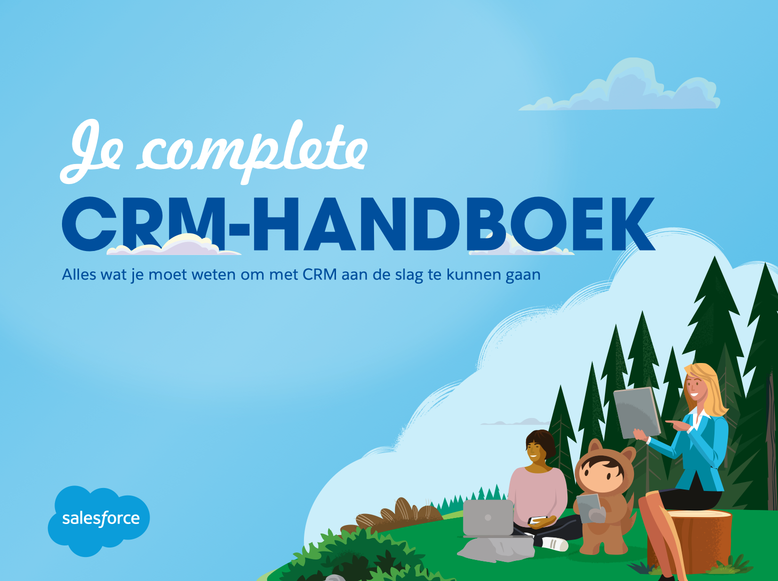 crm handboek - De complete CRM-handleiding