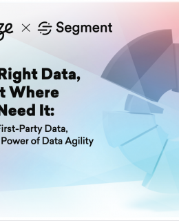 segment guide 260x320 - The Right Data, Right Where You Need it: CDPs, First-Party Data, and the Power of Data Agility