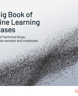 machine learning use cases 260x320 - The Big Book of Machine Learning Use Cases