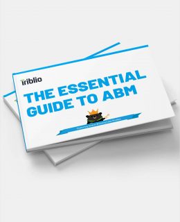 The Essential Guide to ABM