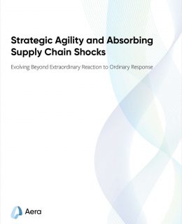Strategic Agility and Absorbing Supply Chain Shocks