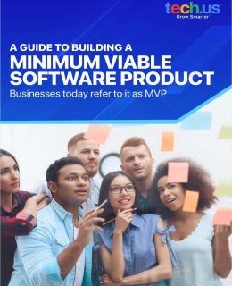 A Guide to Building a Minimum VIable Software Product