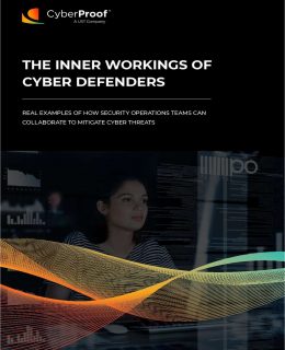 The Inner Workings of Cyber Defenders