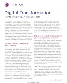 Digital Transformation: Maintaining Privacy in the Age of Data