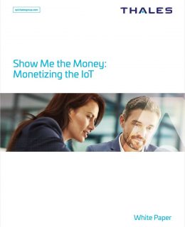 Show Me the Money: Monetizing the IoT