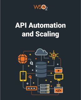 API Automation and Scaling E-book