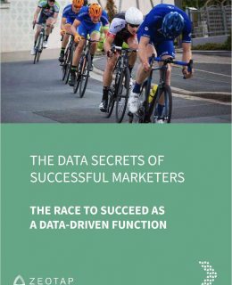 The Data Secrets of Successful Marketers