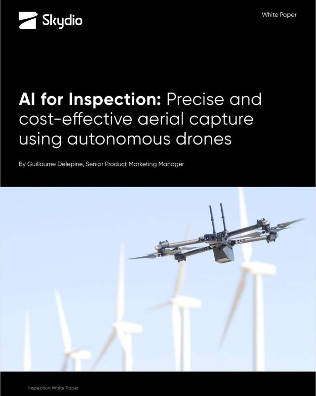 AI for Inspection: Precise and Cost-Effective Aerial Capture Using Autonomous Drones
