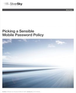 Picking a Sensible Mobile Password Policy for Your Employees