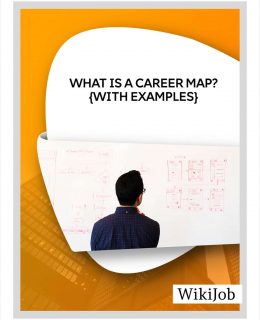 What Is a Career Map {With Template and Example}