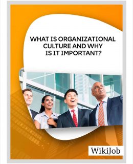 What Is Organizational Culture and Why Is It Important?