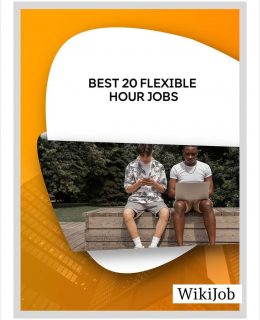 Best 20 Flexible Hour Jobs