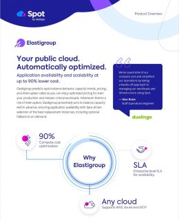 Your public cloud. Automatically optimized.