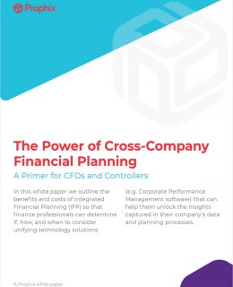 Cross-Company Financial Planning: Cohesive Planning Across Your Organization