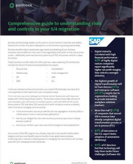 Comprehensive Guide to Understanding Risks and Controls in Your S/4 Migration
