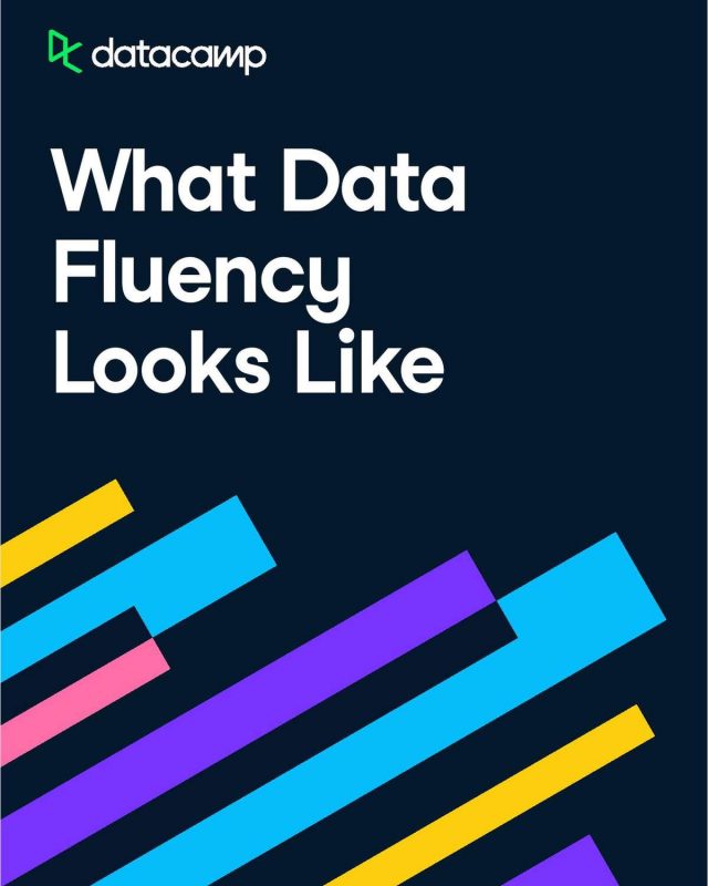 Whitepaper | What Data Fluency Looks Like