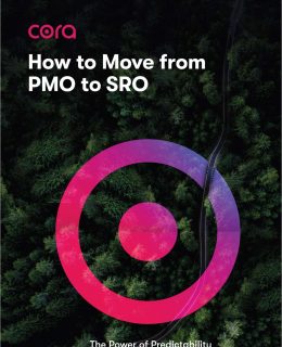 How to Move from PMO to SRO