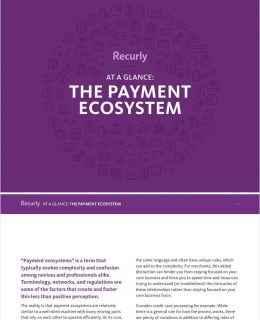 Taking the Confusion Out of the Payment Ecosystem