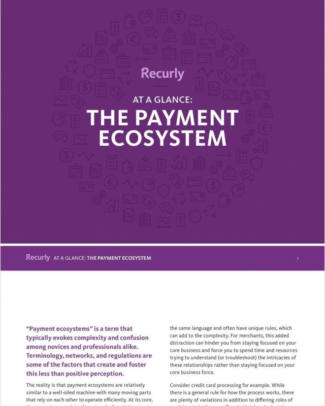 Taking the Confusion Out of the Payment Ecosystem