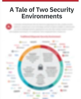 Two Security Environments - Infographic