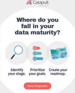 Data Maturity Model