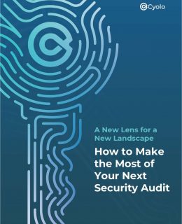 How to Make the Most of Your Next Security Audit