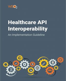 Healthcare API Interoperability: An Implementation Guideline